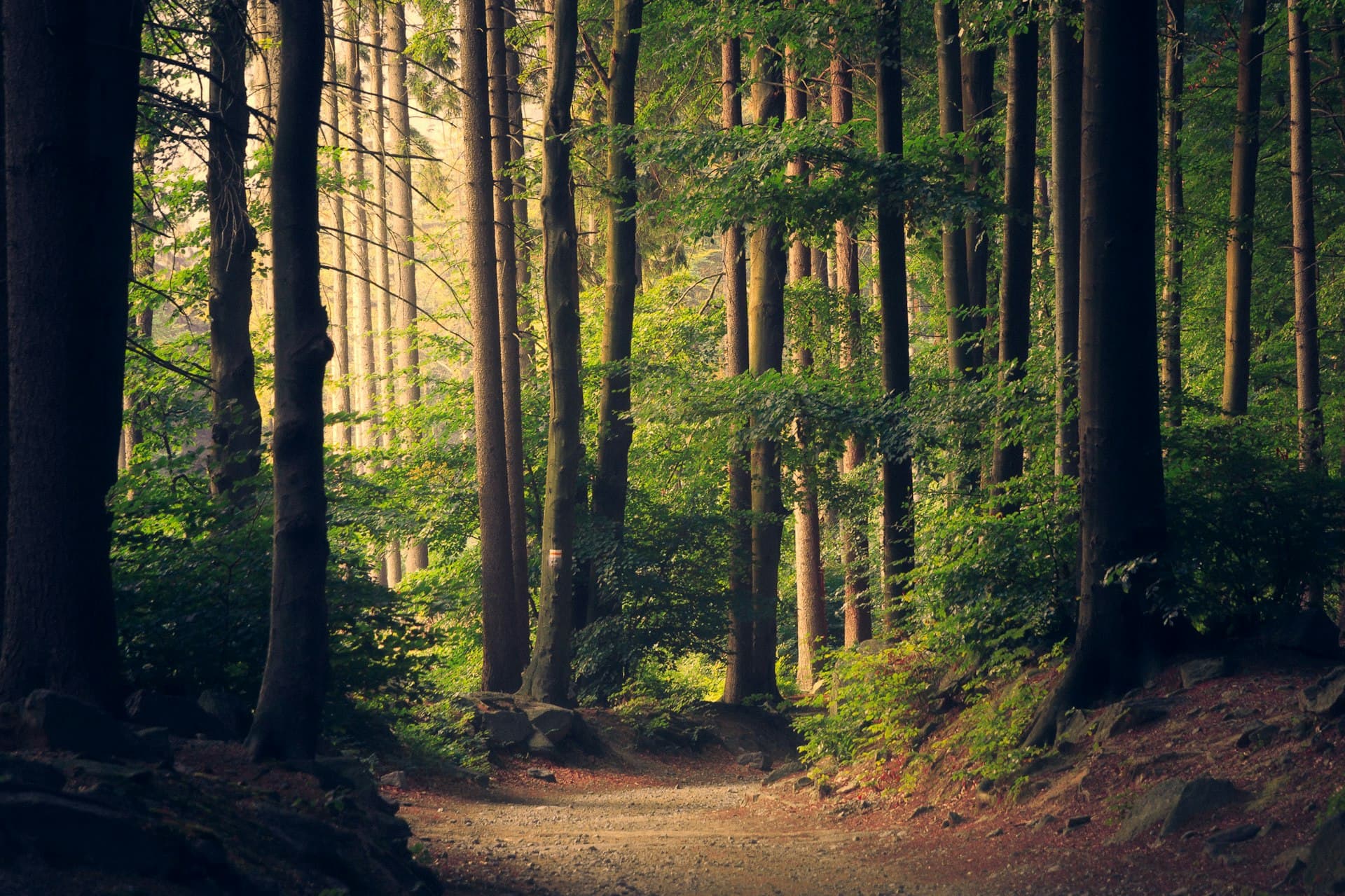 Where Mountains Breathe — photograph 3